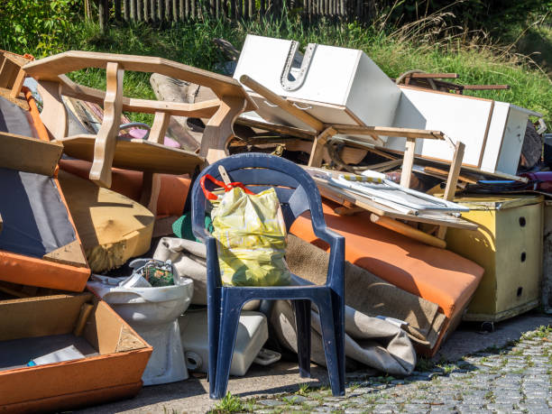 Best Basement Cleanout  in Bamberg, SC